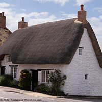 Buy canvas prints of Whitewashed cottage by Clive Wells