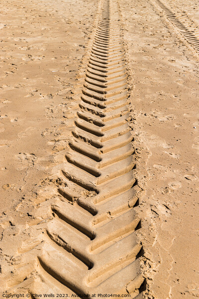 Tracks in the sand Picture Board by Clive Wells
