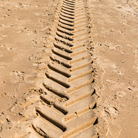 Buy canvas prints of Tracks in the sand by Clive Wells