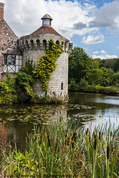 Round tower of Scotney Castle, Picture Board by Clive Wells