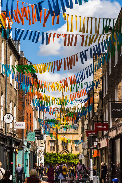 Street bunting Picture Board by Clive Wells