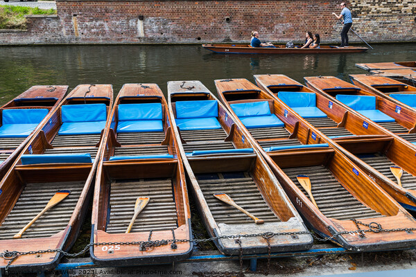 Row of punts Picture Board by Clive Wells