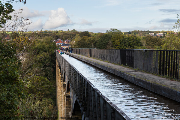High up on the Pontcysyllte Aqueduct Picture Board by Clive Wells