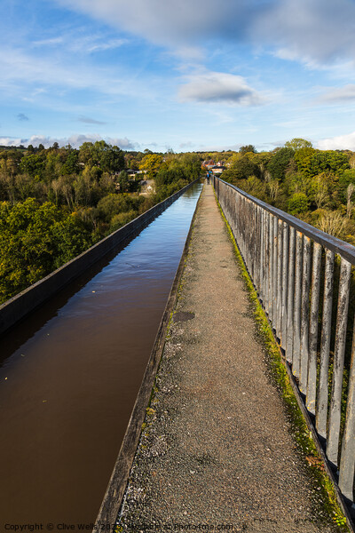 View along the Pontcysyllte Aqueduct Picture Board by Clive Wells