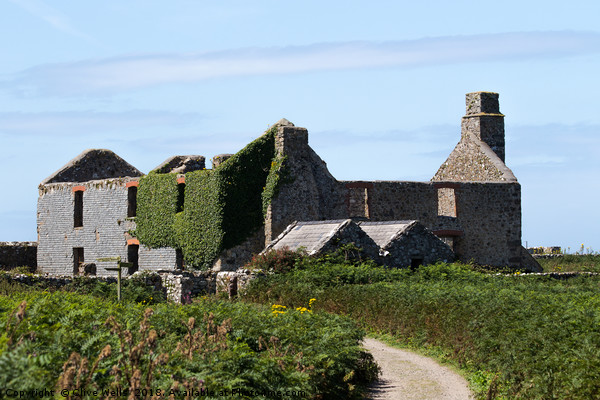 Old building seen on the island of Skomer in West  Picture Board by Clive Wells