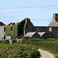 Buy canvas prints of Old building seen on the island of Skomer in West  by Clive Wells