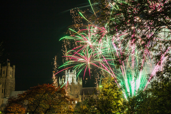 Ely Cathederal with  fireworks in Cambridgeshire Picture Board by Clive Wells