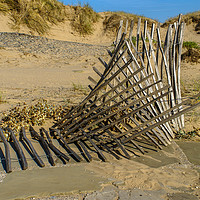 Buy canvas prints of Fence in the dunes by Clive Wells