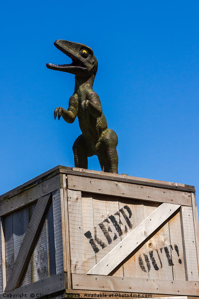 Dino on a KEEP OUT box Picture Board by Clive Wells