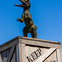 Buy canvas prints of Dino on a KEEP OUT box by Clive Wells