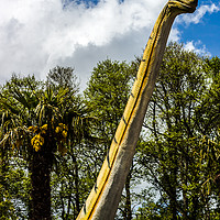 Buy canvas prints of Diplodocus above the trees by Clive Wells