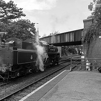 Buy canvas prints of Steam train seen at Sheringham Station by Clive Wells