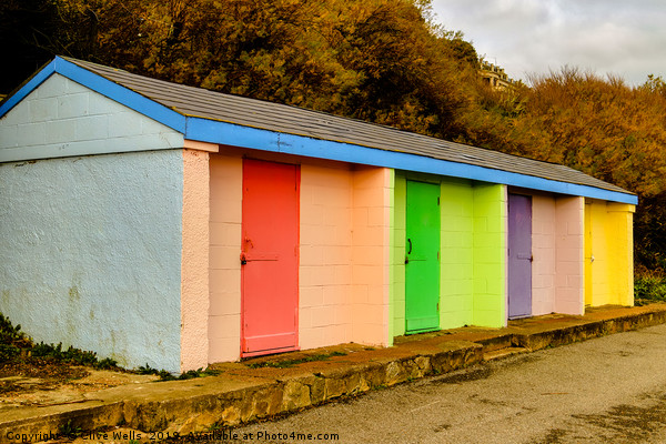 Colourful huts at Folkestone sea front Picture Board by Clive Wells