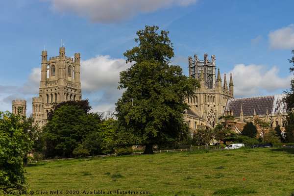 Ely Cathedral from the meadows Picture Board by Clive Wells