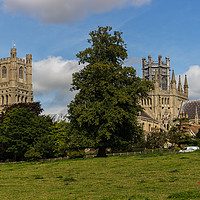 Buy canvas prints of Ely Cathedral from the meadows by Clive Wells