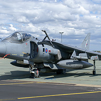 Buy canvas prints of BAe Harrier seen at RAF Marham in Norfolk by Clive Wells