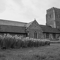 Buy canvas prints of Daffodils in front of Gaywood Church by Clive Wells