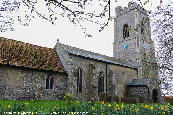 Daffodils in front of St. Faith`s Church, Gaywood Picture Board by Clive Wells