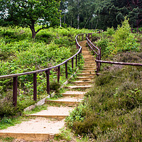 Buy canvas prints of Path leading up to the top level seen at Wolverton by Clive Wells
