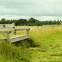Buy canvas prints of Lone seat on the grass at Sutton Bridge, Linconshi by Clive Wells