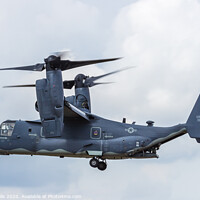 Buy canvas prints of Bell Boeing CV-22B Osprey in the hover seen at the by Clive Wells