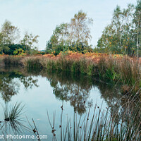 Buy canvas prints of Small lake at Wolverton in Norfolk by Clive Wells