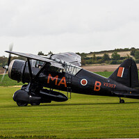 Buy canvas prints of Westland Lysander by Clive Wells