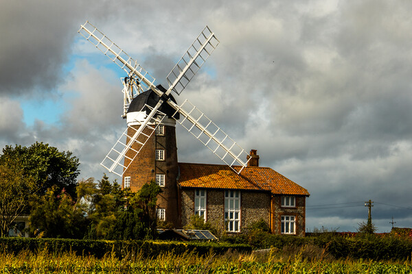 Windmill at Weybourne, North Norfolk Picture Board by Clive Wells