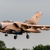 Buy canvas prints of RAF Tornado painted in Operation Granby scheme by Clive Wells