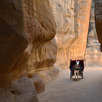 Buy canvas prints of Horse buggy at Petra by Sue Hoppe