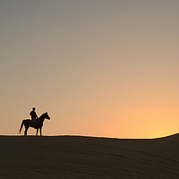 Buy canvas prints of Arabian Horse with desert sunset by Sue Hoppe