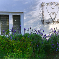 Buy canvas prints of Lavender and Heart Wall Art by Sue Hoppe