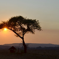 Buy canvas prints of Tree and African hut at sunset by Sue Hoppe