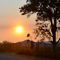 Buy canvas prints of Cyclist at sunset in Zimbabwe by Sue Hoppe