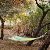Buy canvas prints of Hammock in trees on river bank by Sue Hoppe