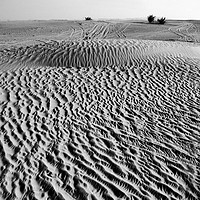 Buy canvas prints of The Arabian desert outside Dubai by Sue Hoppe