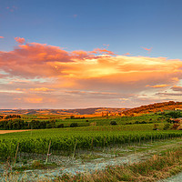 Buy canvas prints of Sunset, South Tuscany, Italy by Lenscraft Images