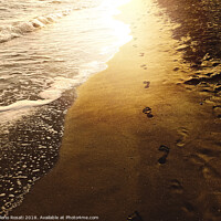 Buy canvas prints of Human footprints on a sandy shoreline by Valerio Rosati