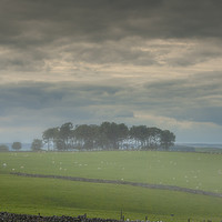 Buy canvas prints of Arbor low by Bob Hall