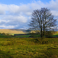 Buy canvas prints of Buxton fields by Bob Hall