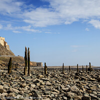 Buy canvas prints of Lindisfarne Castle, Holy Island, Northumberland by Phill Thornton