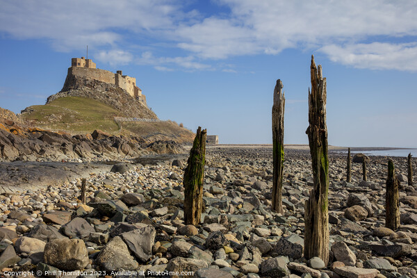 The Majestic Lindisfarne Castle, Holy Island, Nort Picture Board by Phill Thornton