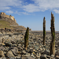 Buy canvas prints of The Majestic Lindisfarne Castle, Holy Island, Nort by Phill Thornton