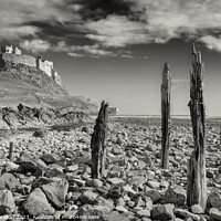 Buy canvas prints of Lindisfarne Castle, Holy Island, Northumberland No by Phill Thornton