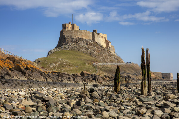 Majestic Lindisfarne Castle, Holy Island, Northumb Picture Board by Phill Thornton