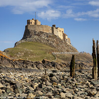 Buy canvas prints of Majestic Lindisfarne Castle, Holy Island, Northumb by Phill Thornton