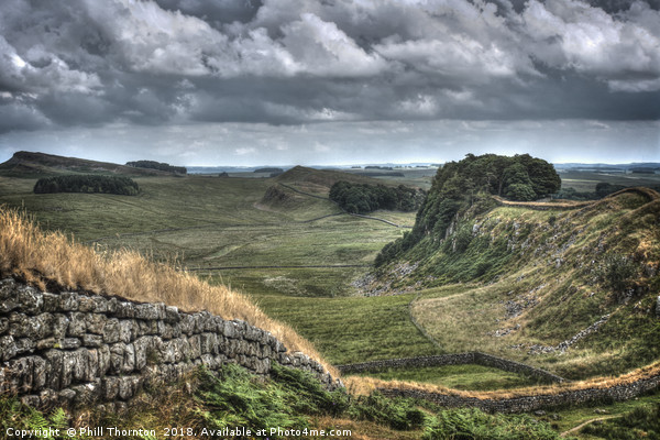 Hadrian's Wall looking East. Picture Board by Phill Thornton