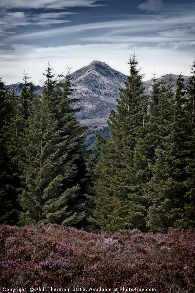 Glenshant Hill and Goatfell, Isle of Arran  Picture Board by Phill Thornton
