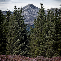 Buy canvas prints of Glenshant Hill and Goatfell, Isle of Arran  by Phill Thornton