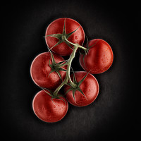 Buy canvas prints of Vine ripened tomatoes. by Phill Thornton